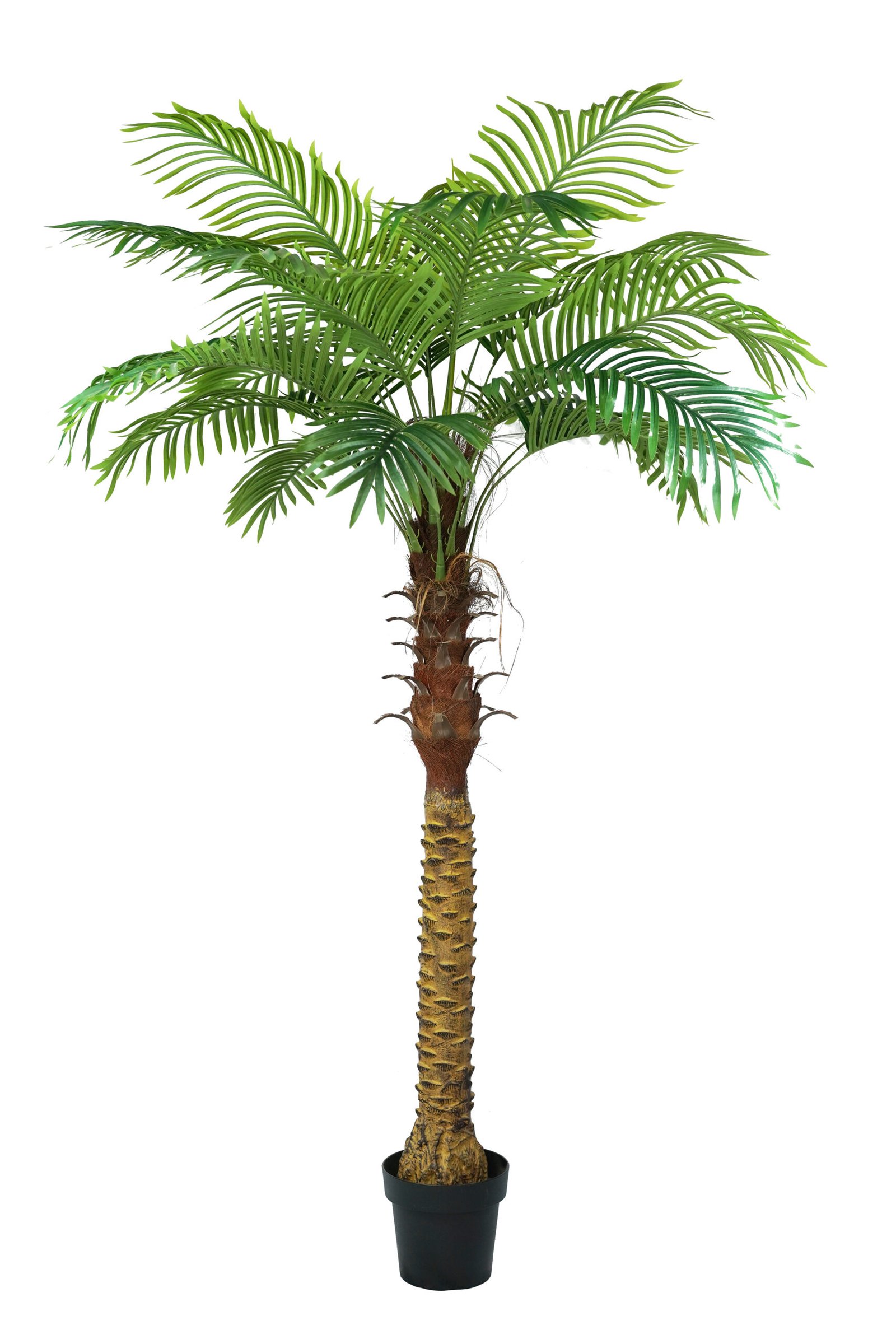 Artificial Palm Tree B ( 45 cm - 290 cm) - Image 5