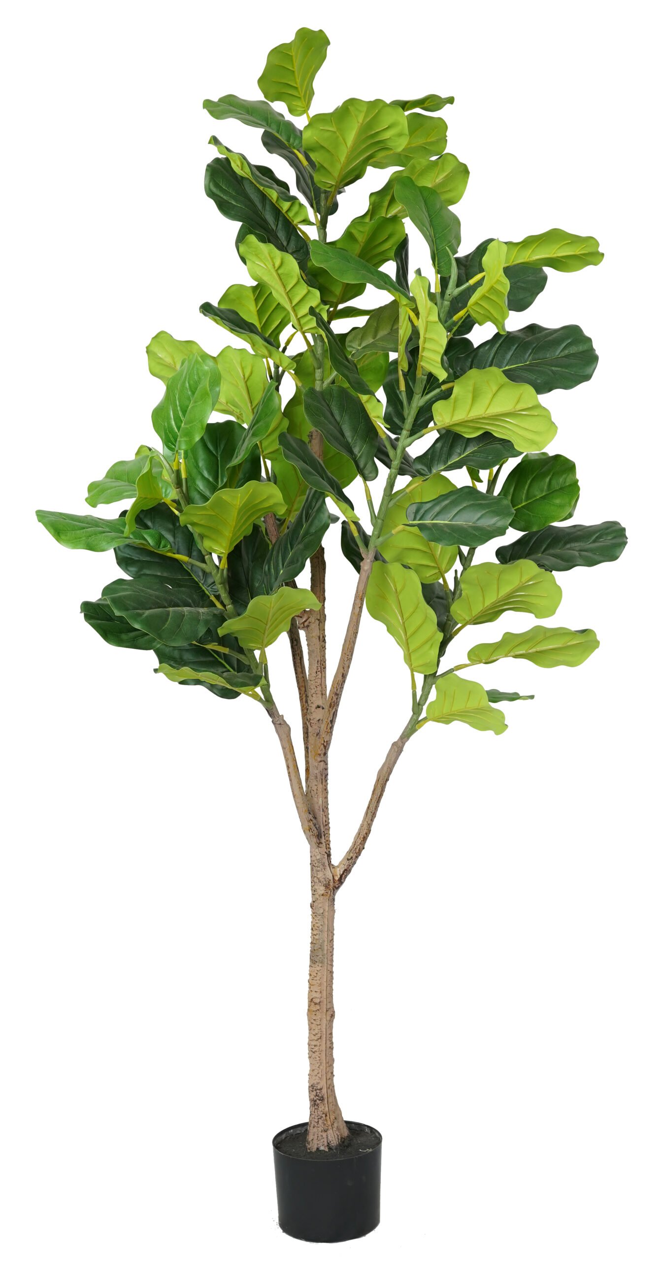 Artificial Fiddle Leaf Fig Tree ( 45 cm - 220 cm) - Image 3