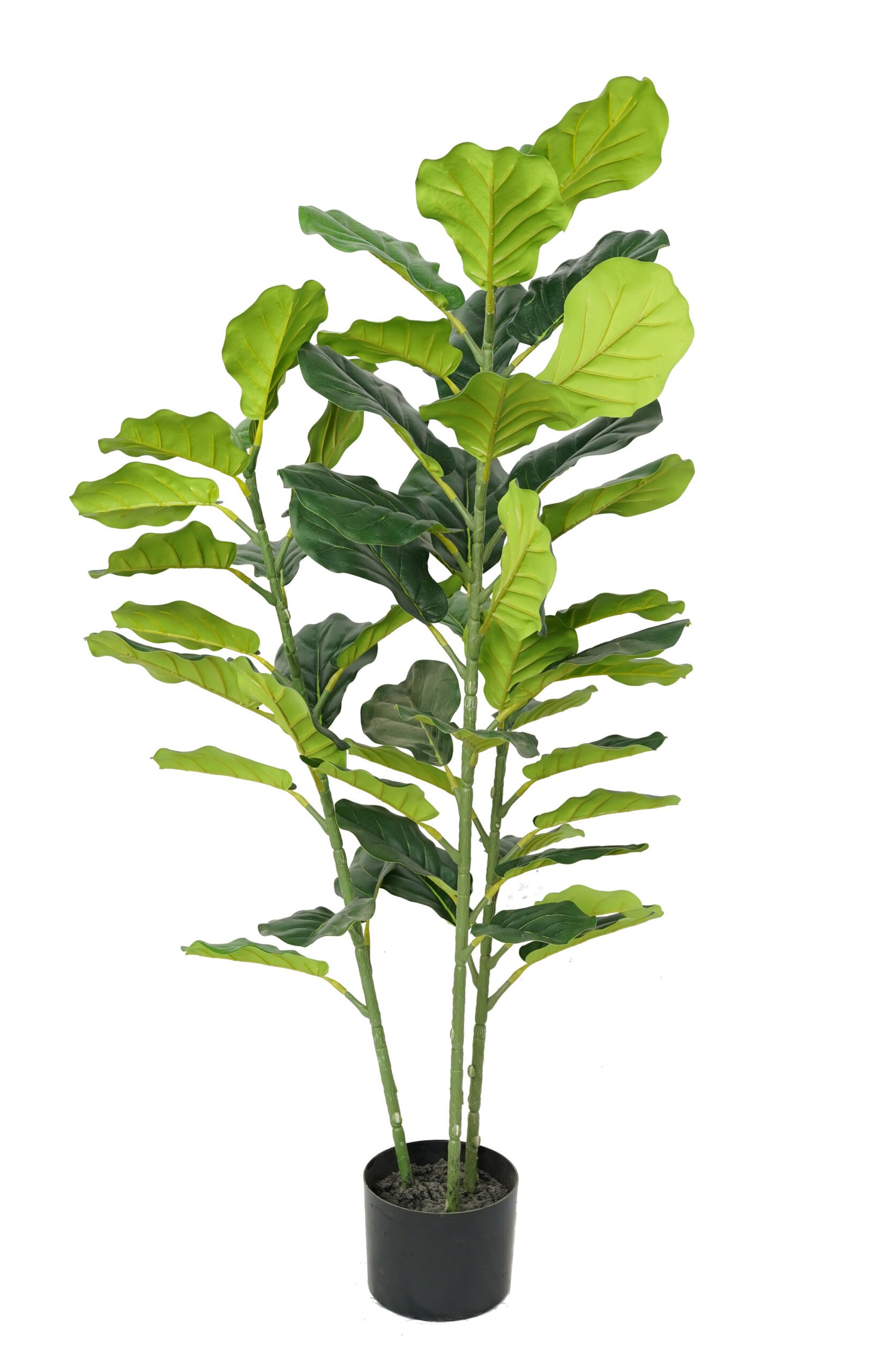 Artificial Fiddle Leaf Fig Tree ( 45 cm - 220 cm) - Image 6