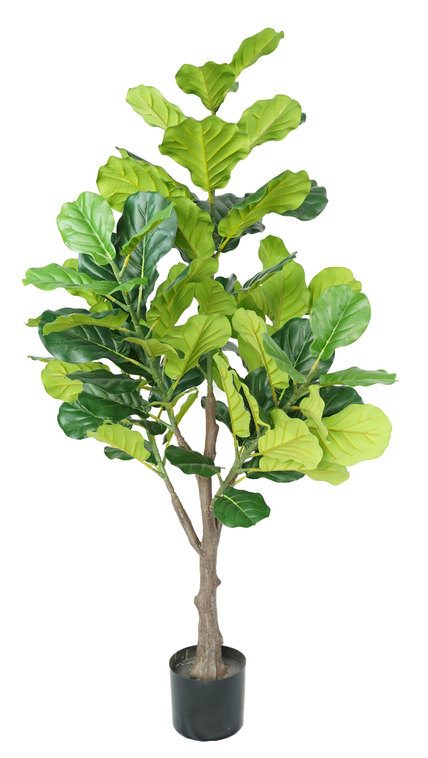 Artificial Fiddle Leaf Fig Tree ( 45 cm - 220 cm) - Image 5