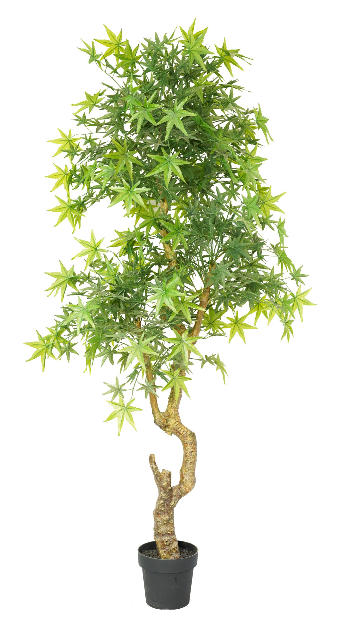 Artificial Maple Tree( 45 cm - 220 cm) - Image 5