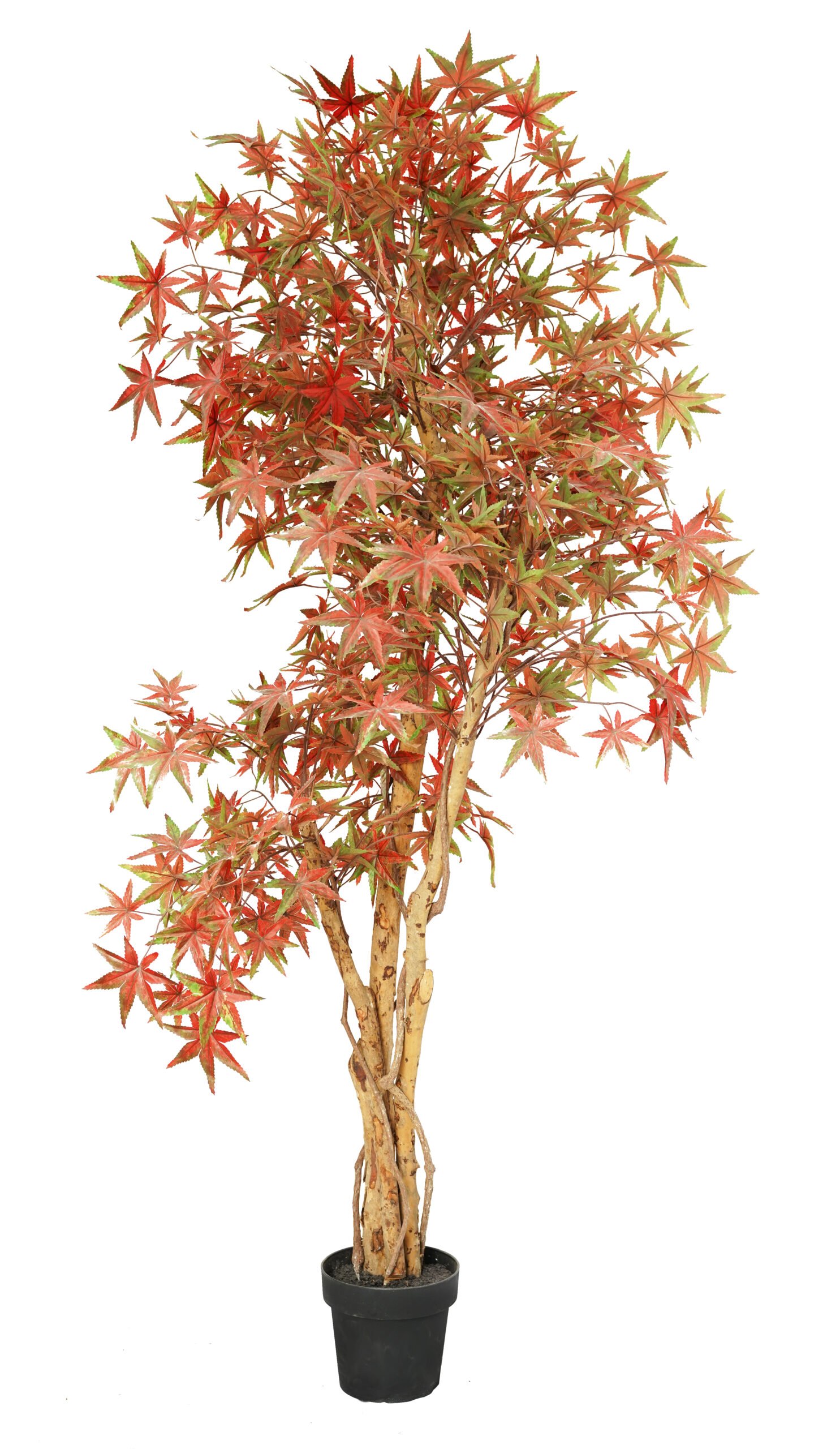 Artificial Maple Tree( 45 cm - 220 cm) - Image 3