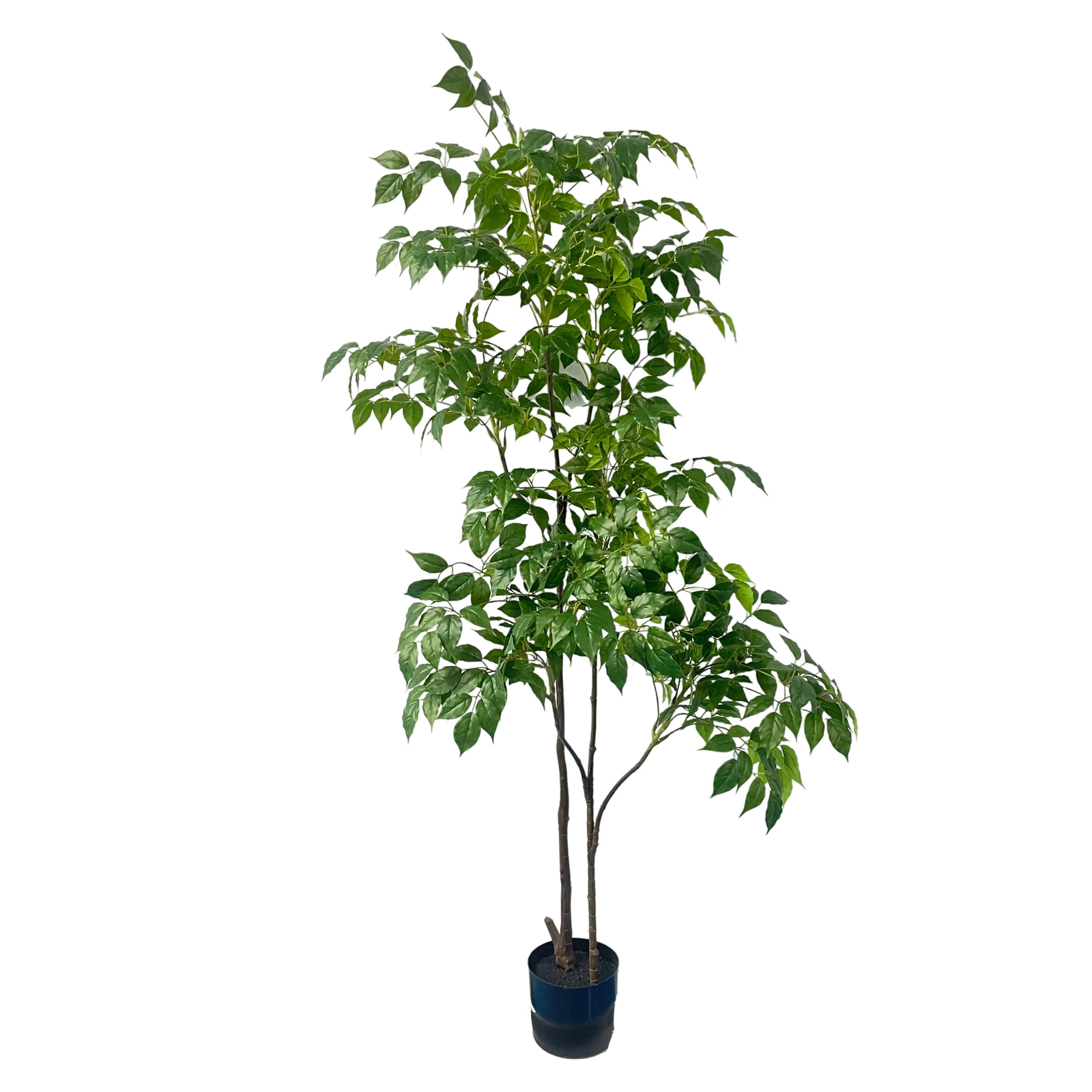 Artificial Emerald & Ficus Tree ( 45 cm - 220 cm) - Image 2