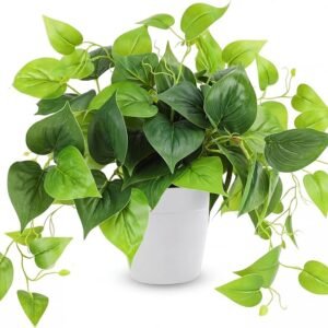 Artificial Potted Pothos ( Tabletop Greenery Potted Plants)