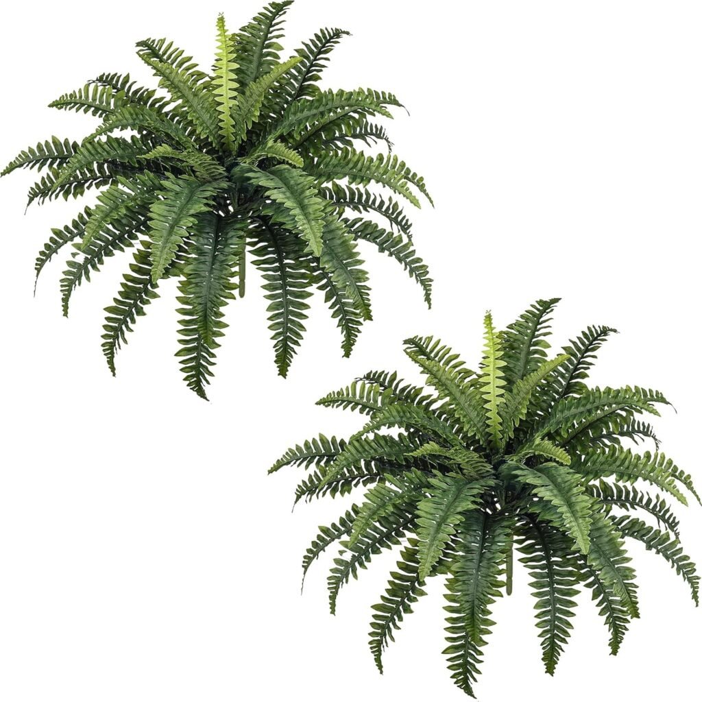 Artificial (Hanging) Fern Plants