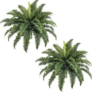 Artificial (Hanging) Fern Plants