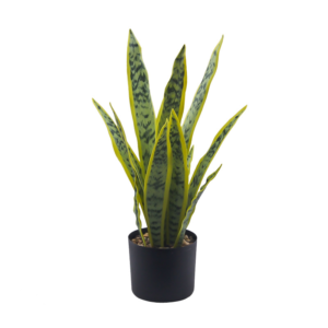 Artificial Potted Snake Plant( Tabletop Greenery Potted Plants)