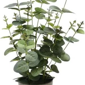 Artificial Potted Eucalyptus ( Tabletop Greenery Potted Plants)