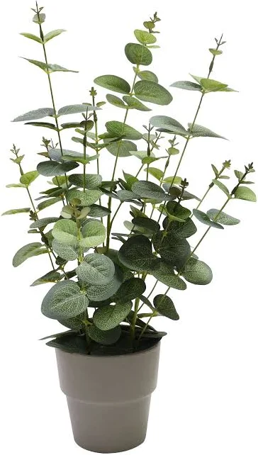 Artificial Potted Eucalyptus ( Tabletop Greenery Potted Plants)