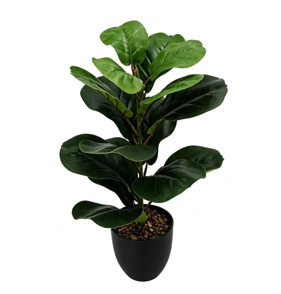 Artificial Potted Fiddle Leaf( Tabletop Greenery Potted Plants)